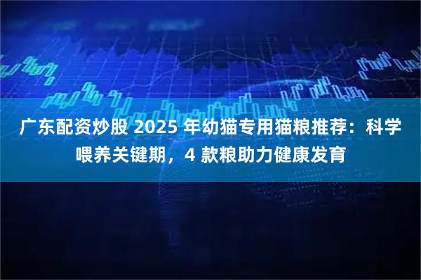 广东配资炒股 2025 年幼猫专用猫粮推荐：科学喂养关键期，4 款粮助力健康发育